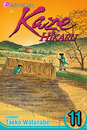 Kaze Hikaru, Vol. 11