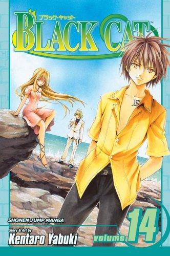 Black Cat, Vol. 14 cover