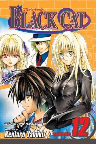 Black Cat Vol. 12 (Black Cat (Graphic Novels))
