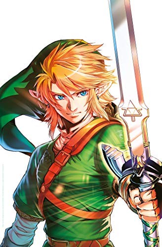 The Legend of Zelda: Twilight Princess, Vol. 8