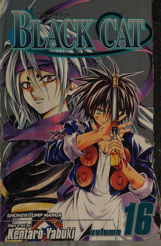 Black Cat, Vol. 16