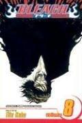 Bleach, Volume 8