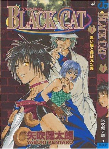 Black Cat, Volume 1