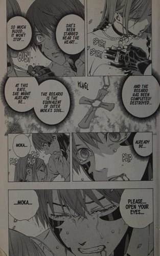 Rosario+Vampire: Season II, Vol. 14