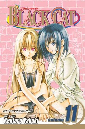 Black Cat Vol. 11 cover