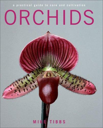 Orchids manga cover