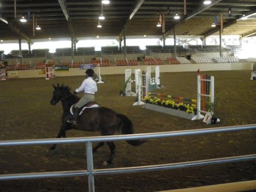 The incredible little book of 10,001 names for horses