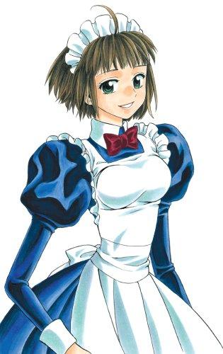 Time Guardian, The