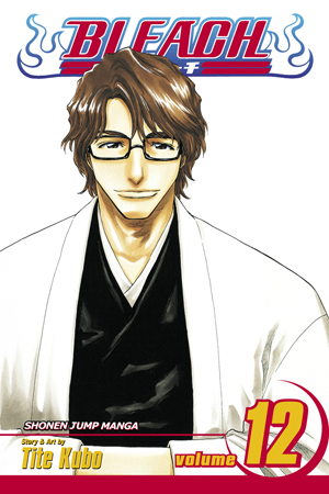 Bleach, Volume 12