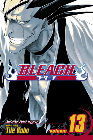 Bleach, Volume 13