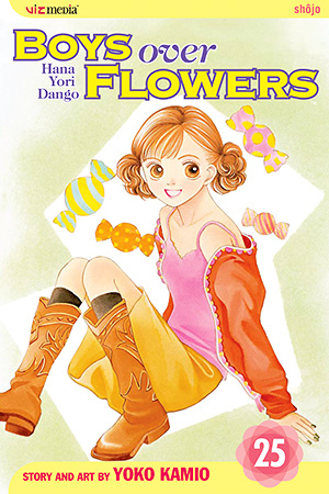 Boys Over Flowers, Vol. 25