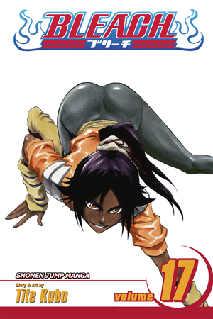 Bleach, Volume 17