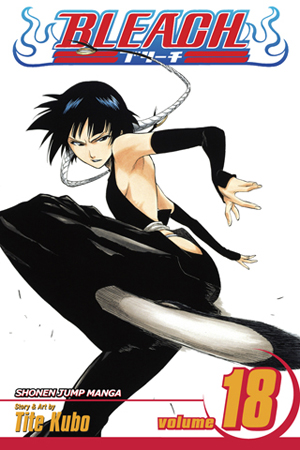 Bleach, Volume 18