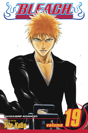 Bleach, Volume 19