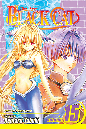 Black Cat, Vol. 15