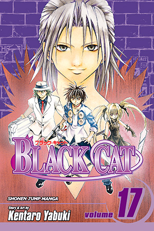Black Cat, Vol. 17