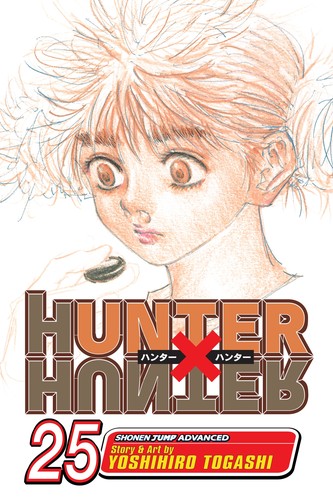 Hunter × Hunter, Volume 25 cover