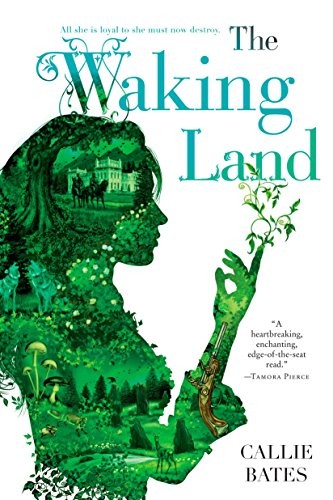 The waking land manga cover