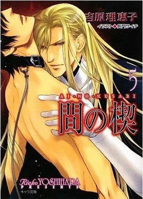Ai No Kusabi Volume 7 (Yaoi Novel)