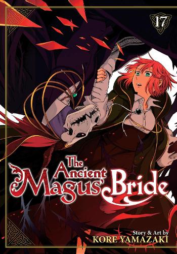 Ancient Magus' Bride Vol. 17 manga cover