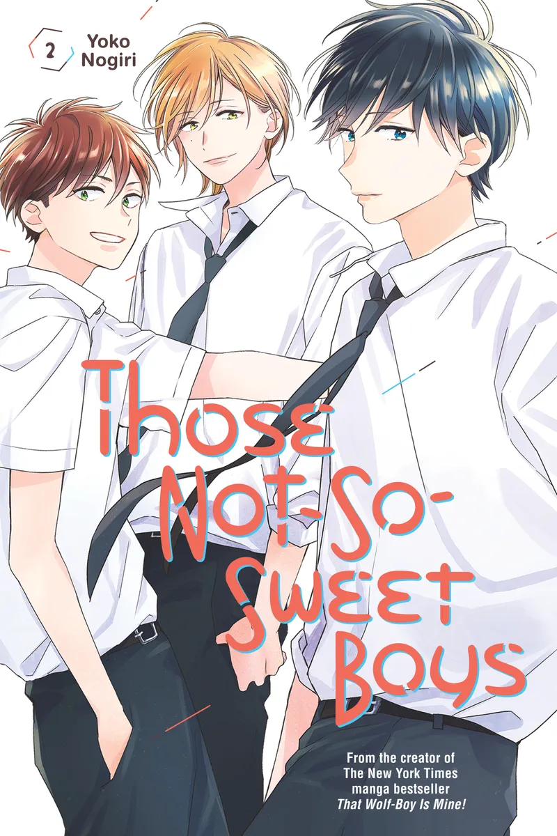 Those Not-So-Sweet Boys, Vol. 2