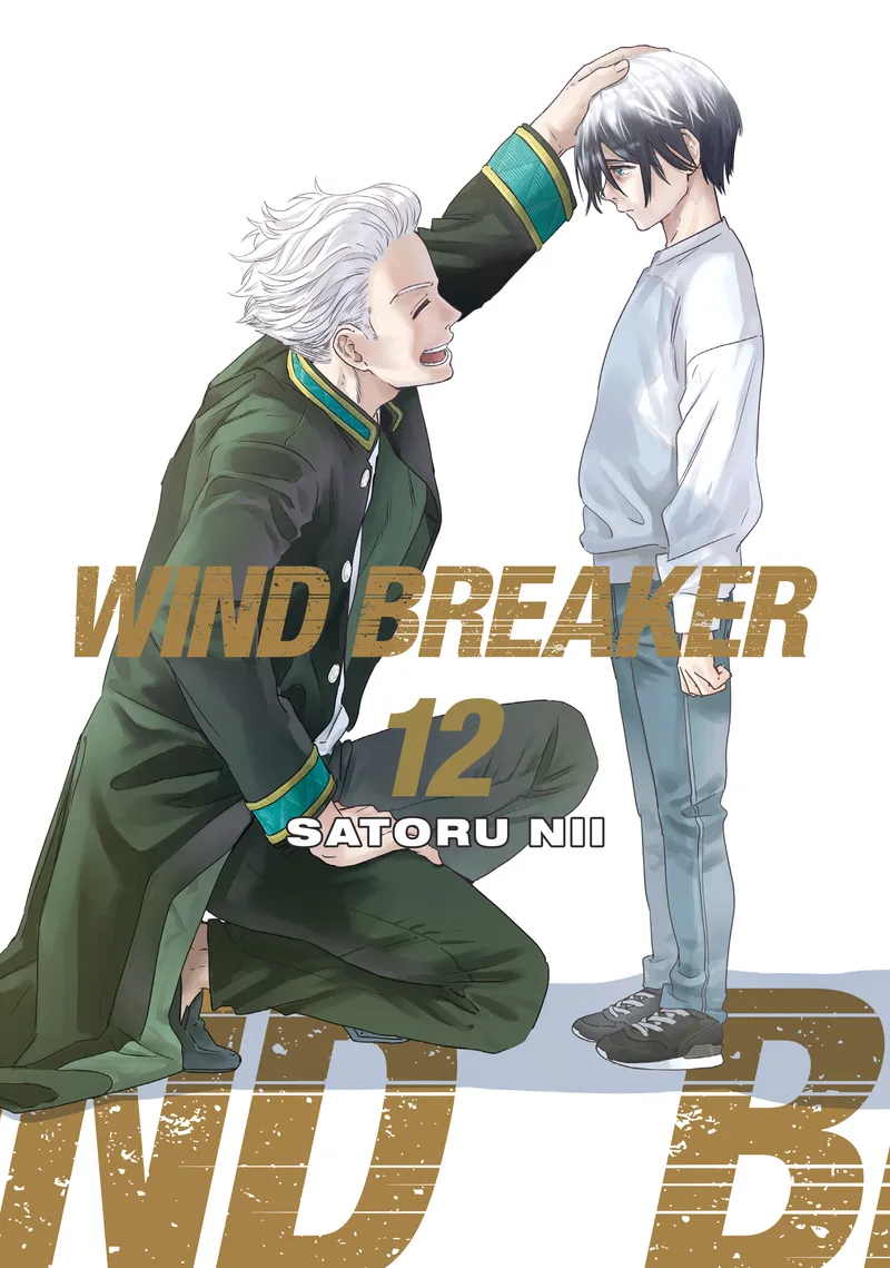 WIND BREAKER, Vol. 12