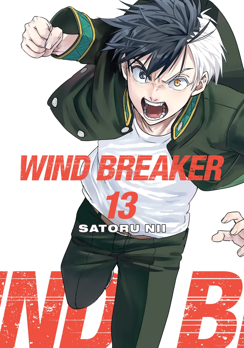 WIND BREAKER, Vol. 13