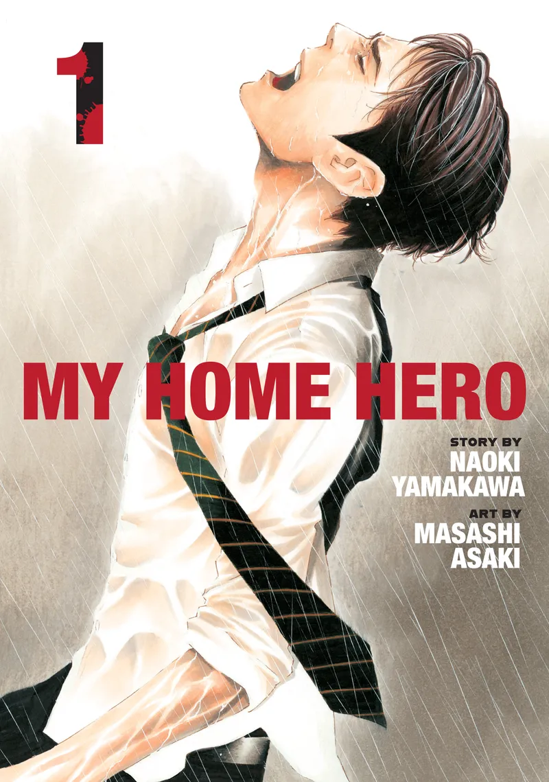 My Home Hero, Vol. 1