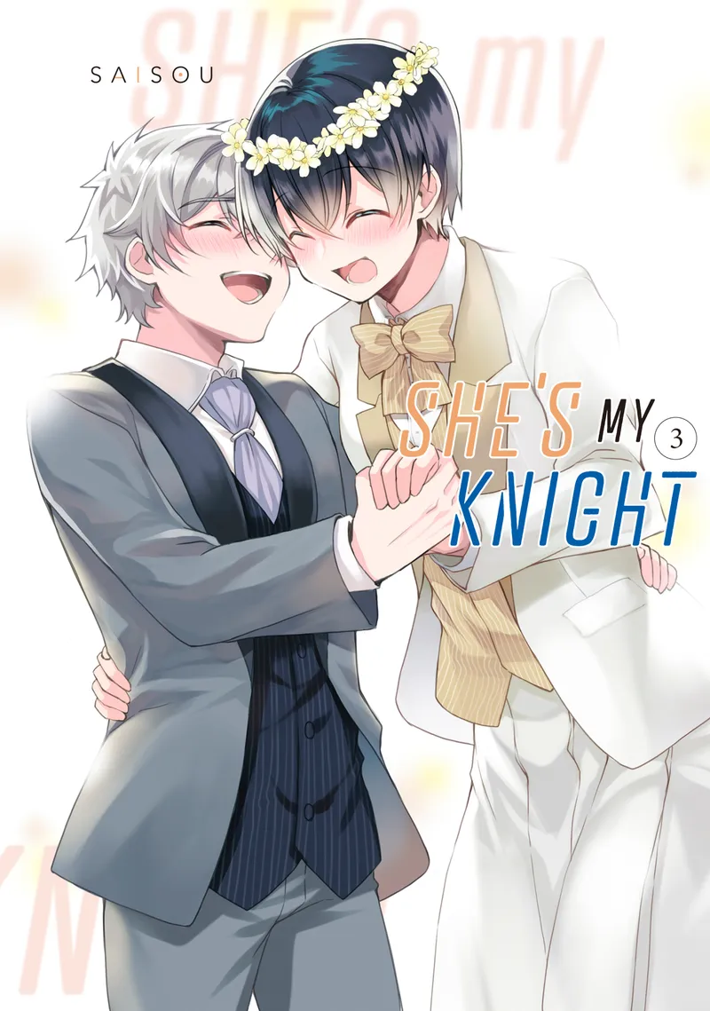 She's My Knight, Vol. 3