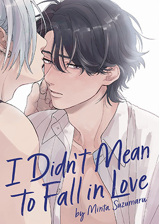 I Didn’t Mean to Fall in Love