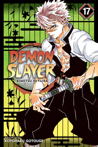 Demon Slayer: Kimetsu no Yaiba, Vol. 17 manga cover