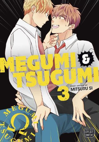 Megumi and Tsugumi, Vol. 3 cover