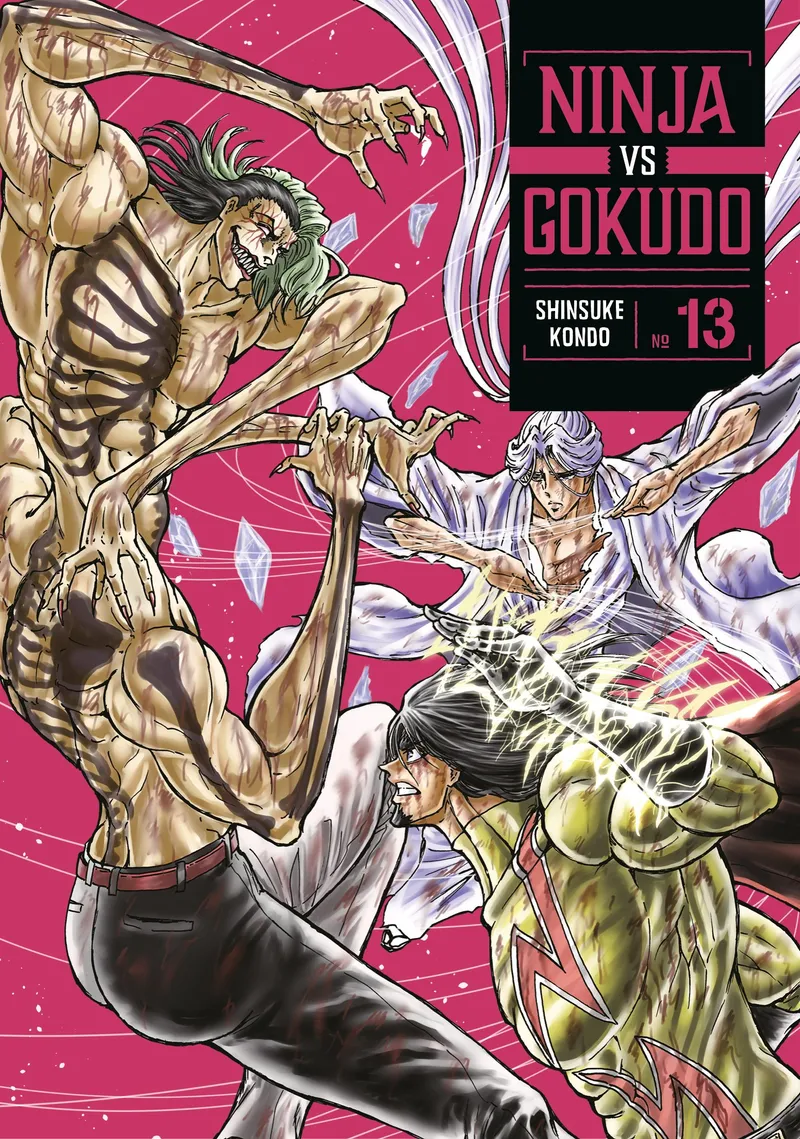 Ninja Vs. Gokudo, Vol. 13
