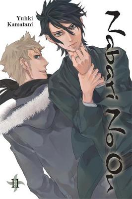 Nabari No Ou, Vol. 11 cover