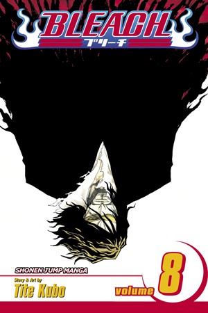 Bleach, Vol. 25