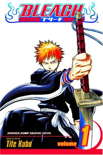 Bleach, Volume 1 cover