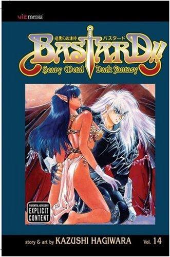 Bastard!!, Volume 14 manga cover