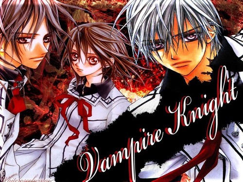 Vampire Knight: Memories, Vol. 10